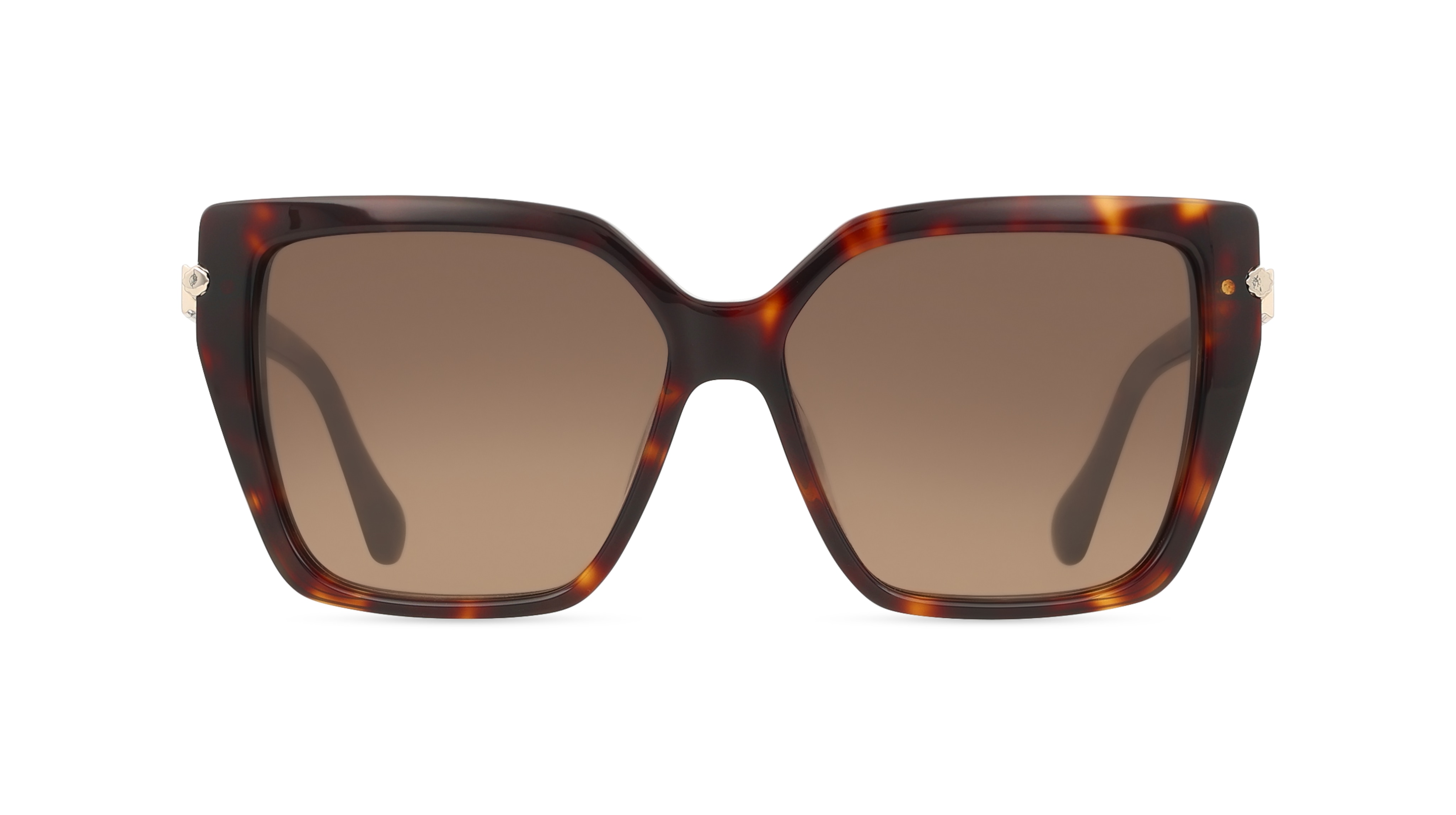 Ferragamo SF1106S