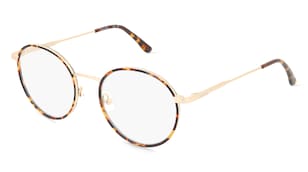 variant 25755 / Calvin Klein CK24114 / Havanna Dunkel