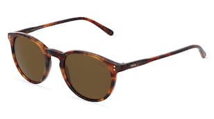 variant 8458 / Polo by Ralph Lauren PH4110 / Hawana