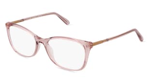 variant 24086 / Coach HC6192U / Pink Trasparente