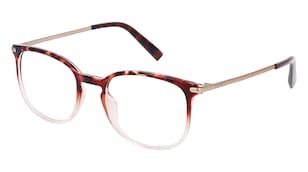 variant 22822 / Esprit 17569 / Havanna