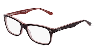 variant 22998 / Ray-Ban RX5228 / Braun