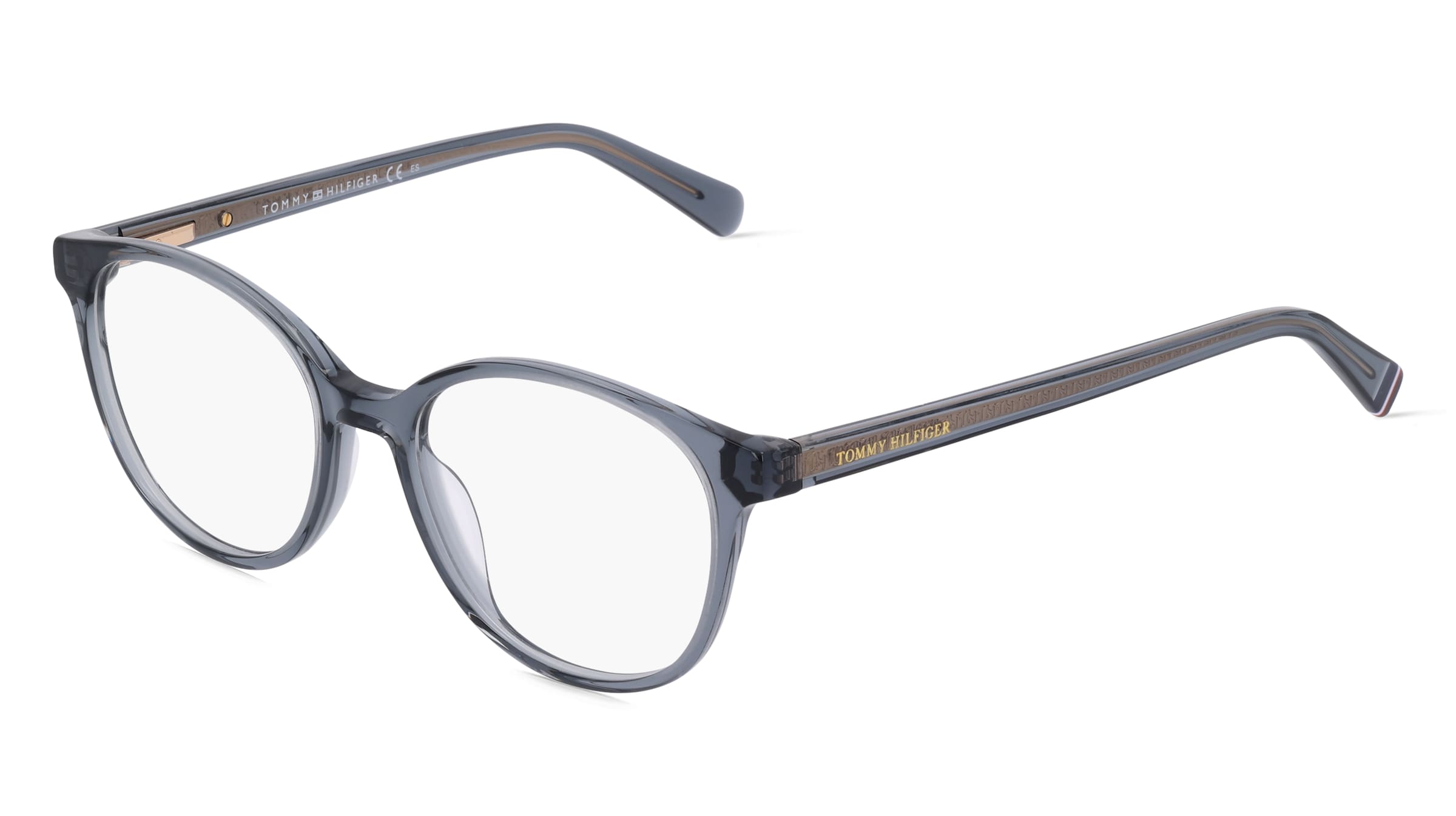 Tommy Hilfiger Eyewear TH 1969