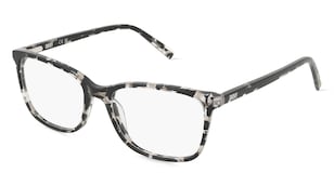 variant 19565 / DKNY DK5055 / Nero Avana