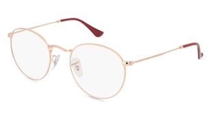 variant 23858 / Ray-Ban RX3447V / Gold