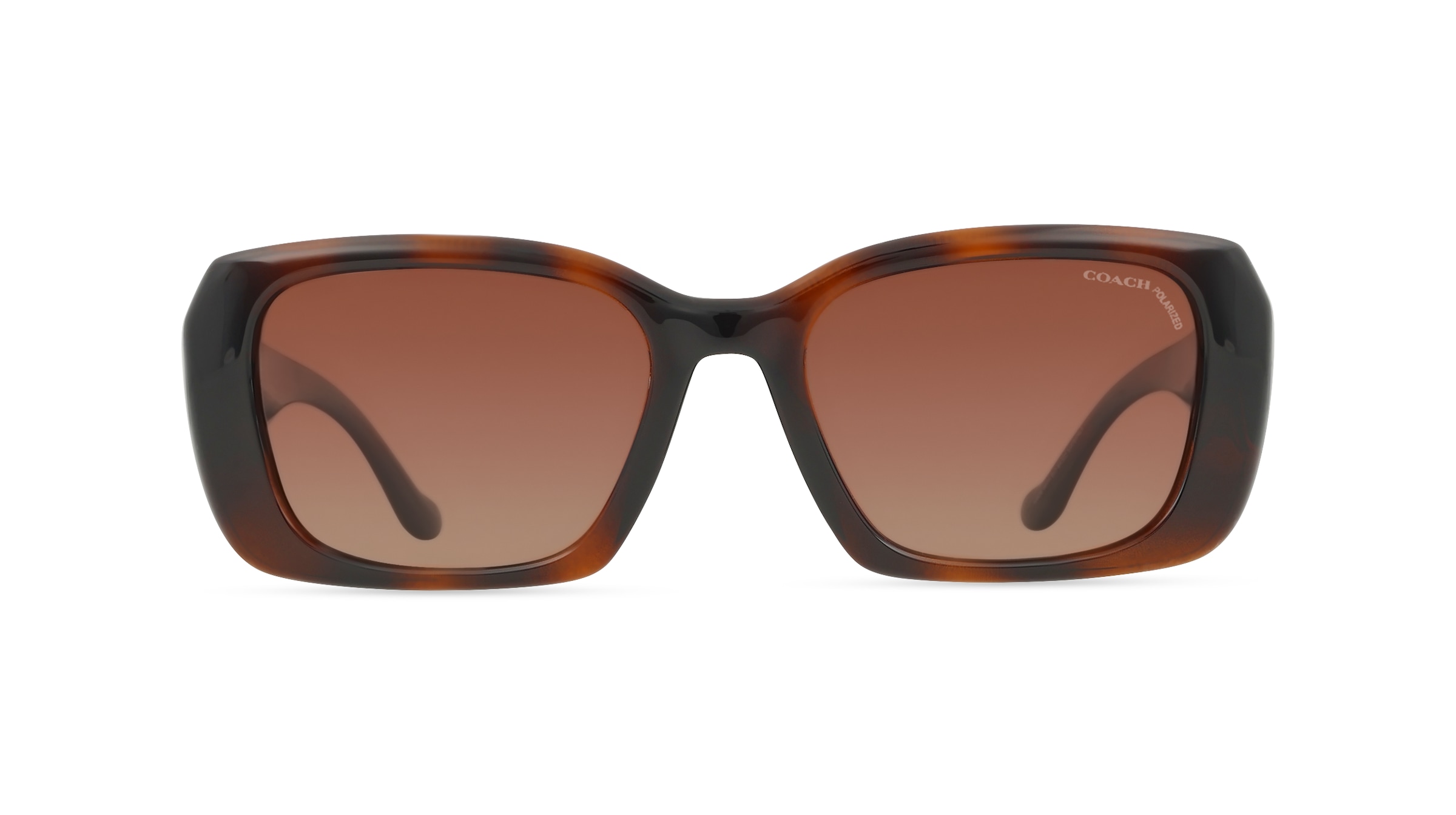 Coach 0HC8435U CBY82