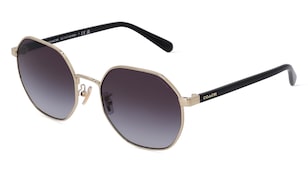 variant 11496 / Coach HC7147 / Gold Hell