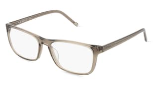 variant 19662 / JOOP! JP 1209 / Braun