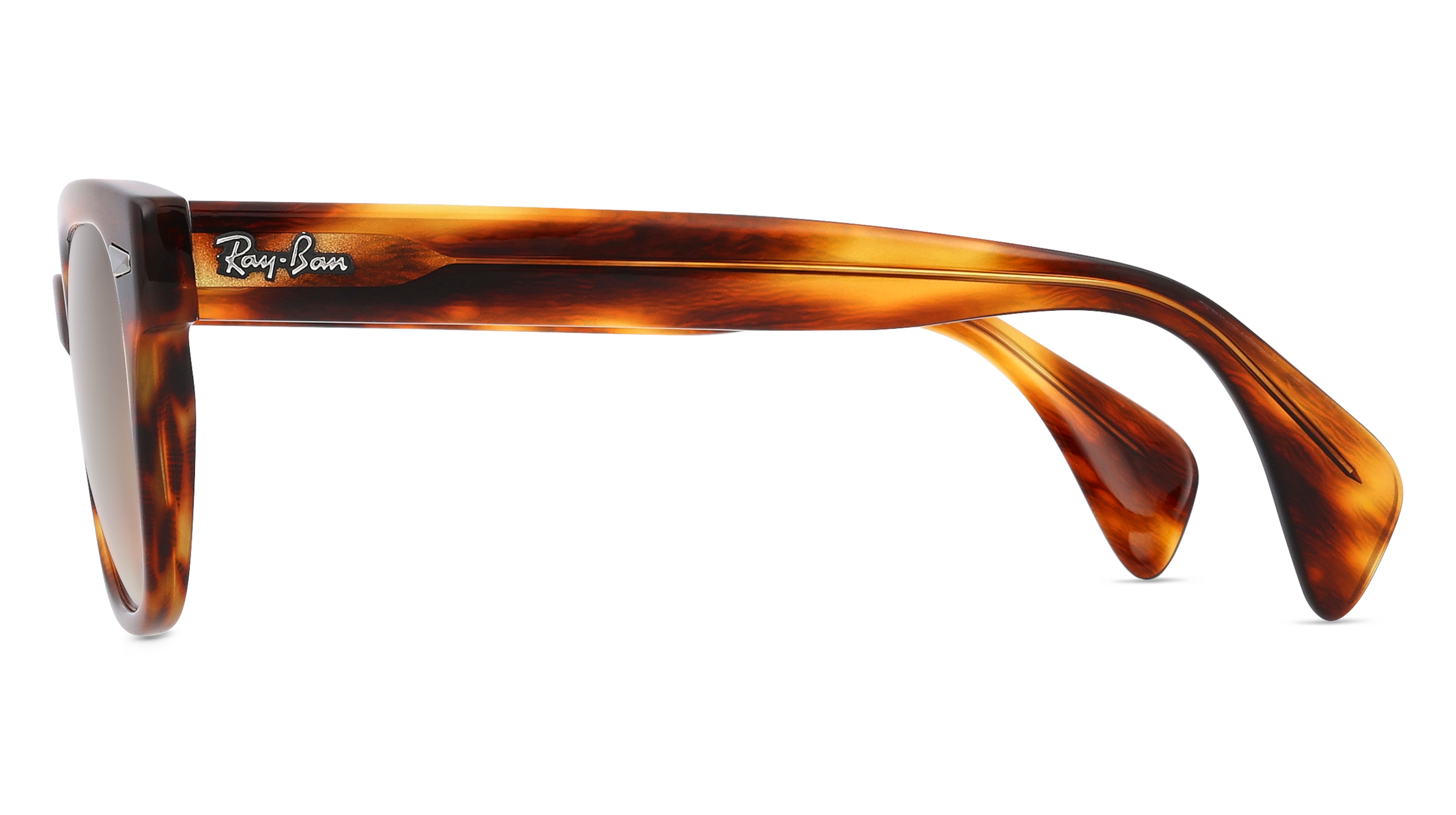 Ray-Ban RB0880S