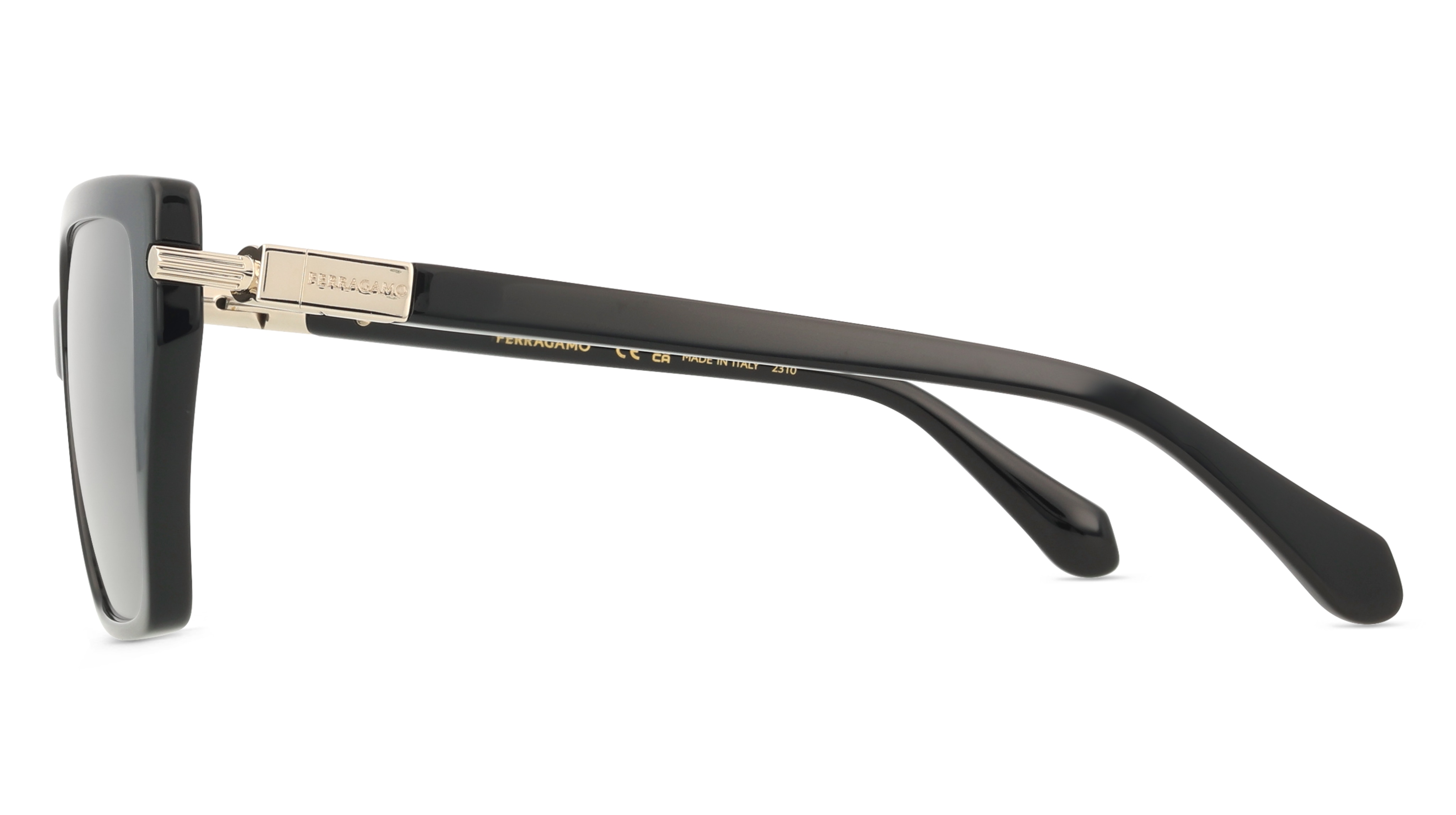 Ferragamo SF1106S