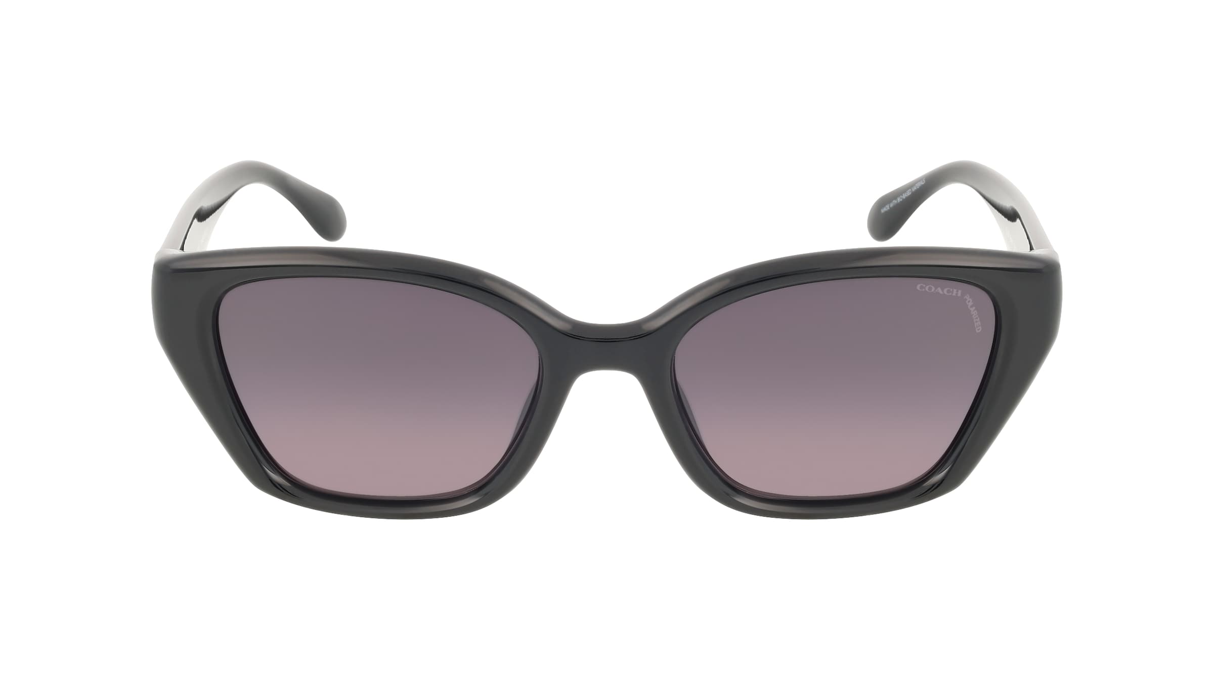 Coach 0HC8434U CBY91