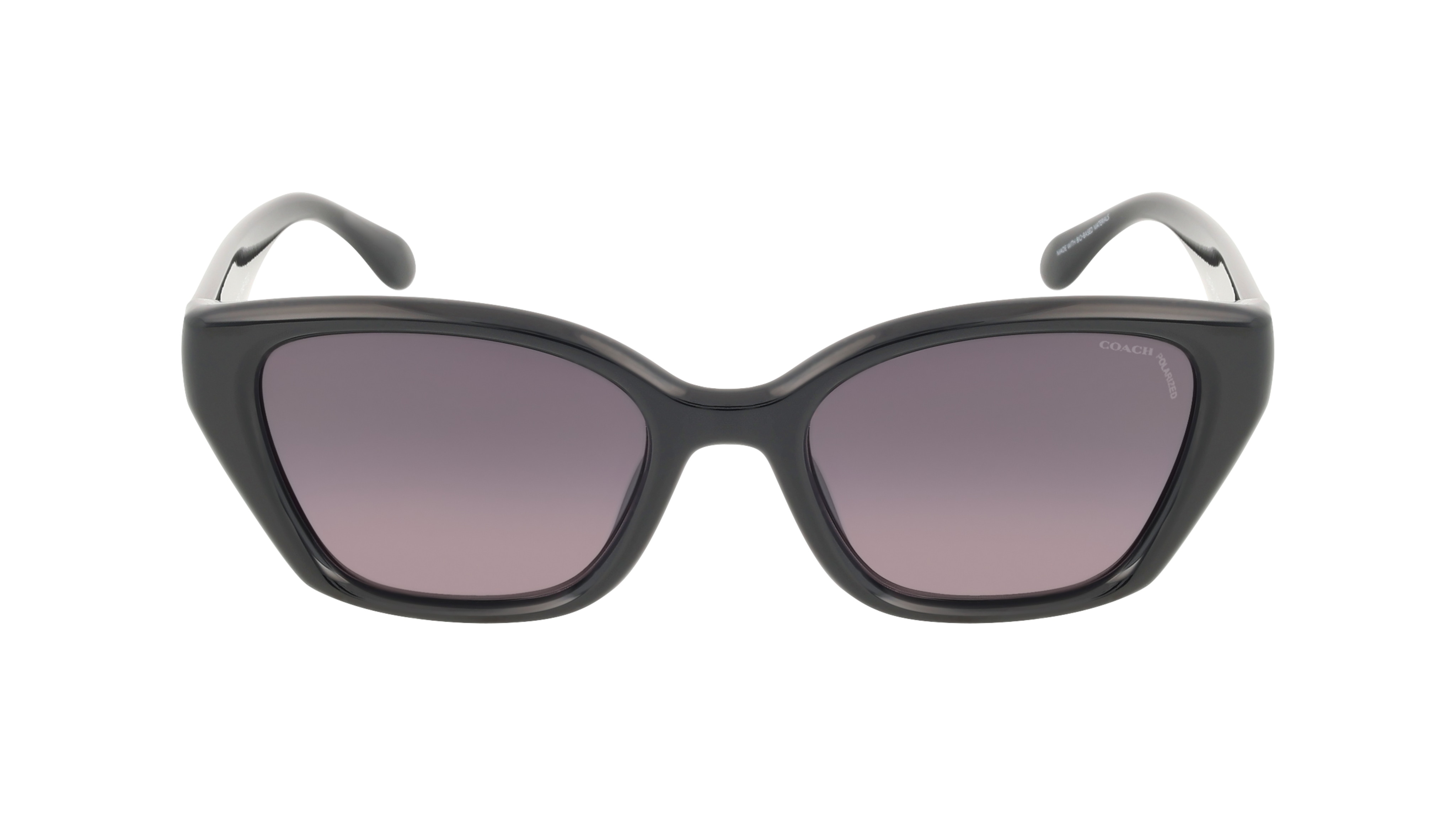 Coach 0HC8434U CBY91