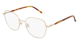 variant 15295 / Fielmann BD 554 FA / Gold Havanna