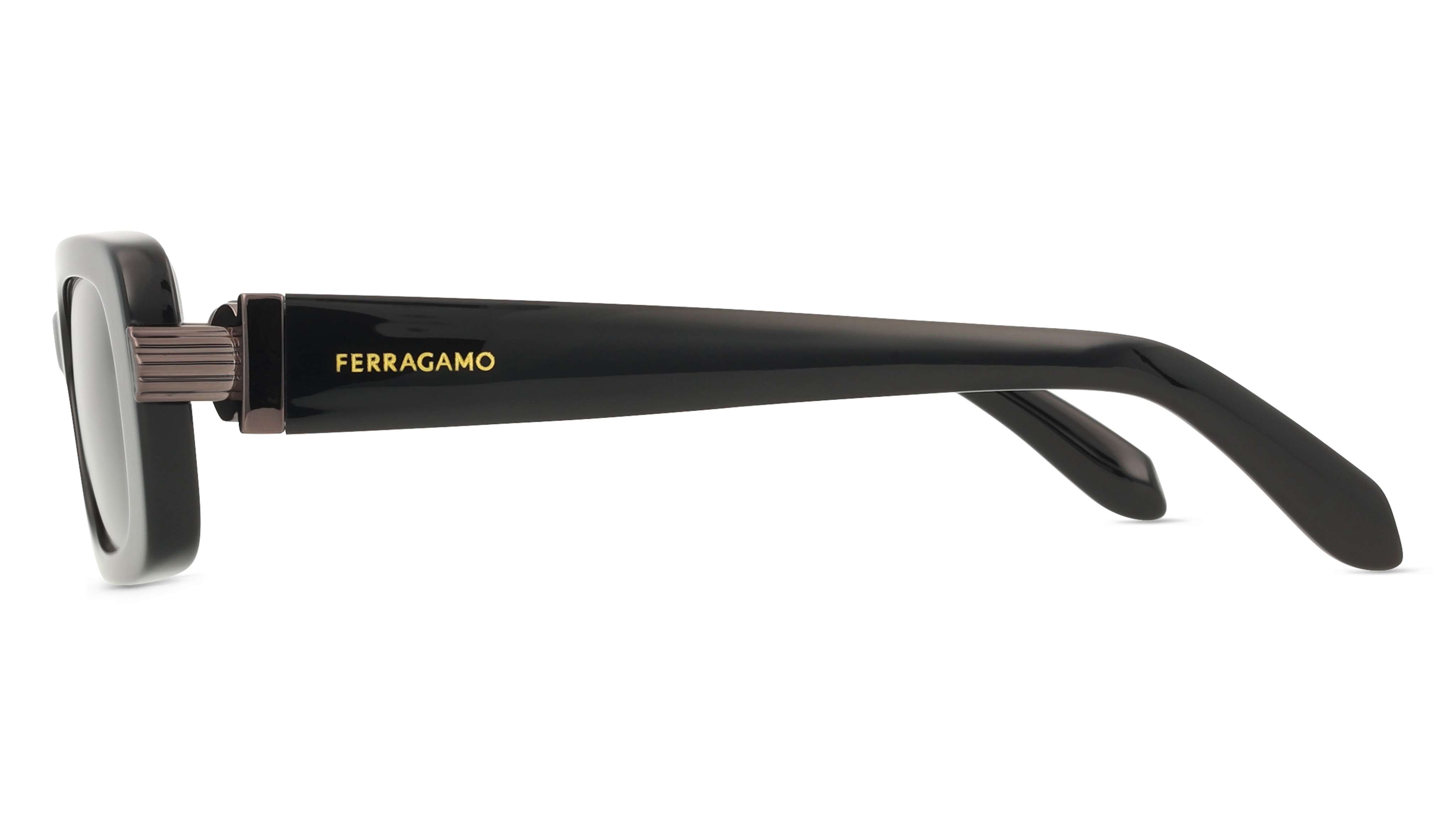 Ferragamo SF1105S