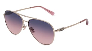 variant 11490 / Coach HC7140 / Gold Hell