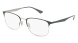 variant 24304 / Ray-Ban RX6421 / argento