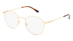 variant 21120 / Calvin Klein CK19119 / Zlatá
