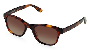 variant 30828 / Fielmann OBRA 451 SUN CL / Havanna