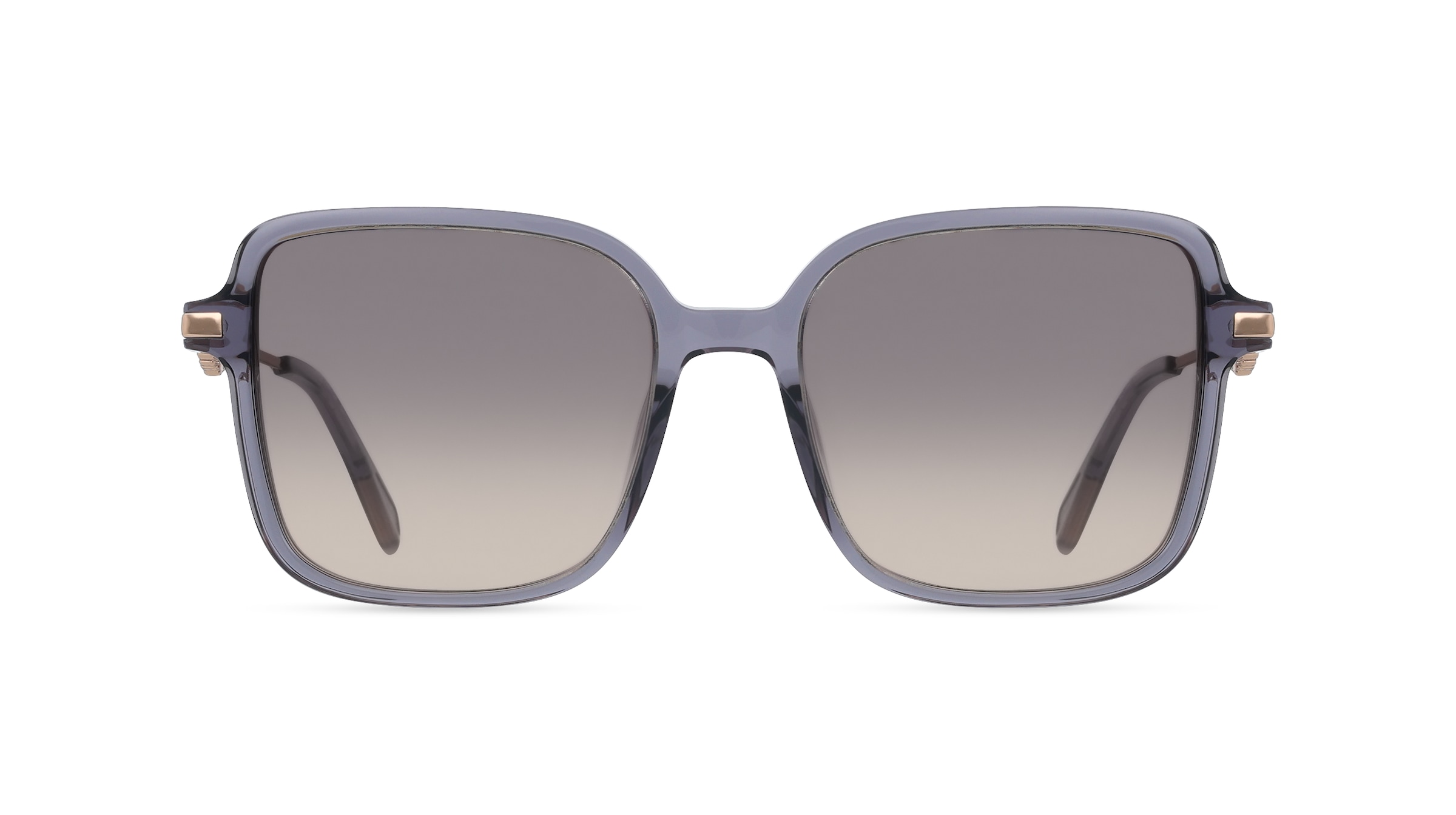 Zadig & Voltaire SZV466S