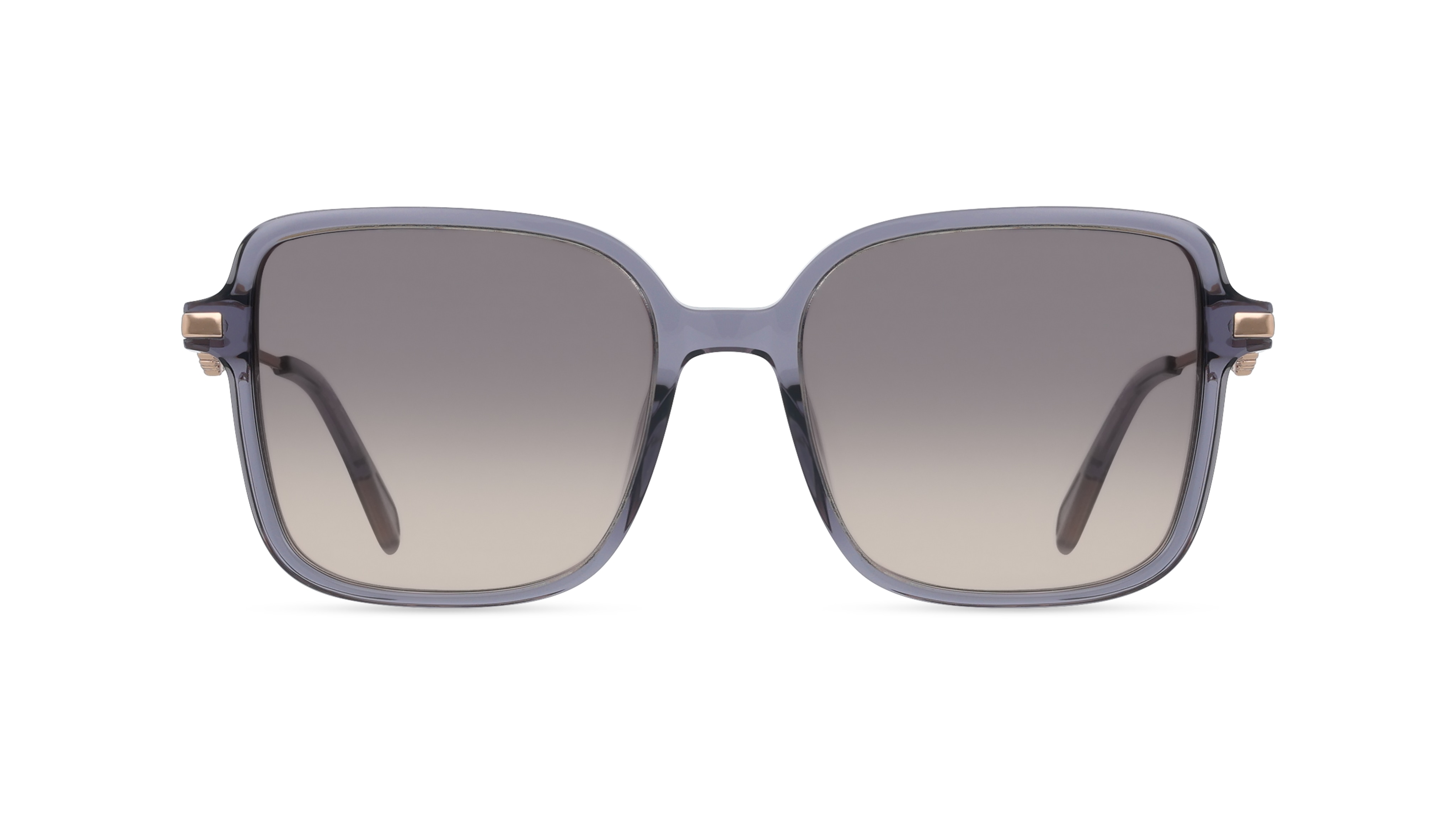 Zadig & Voltaire SZV466S