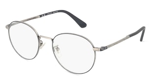 variant 12777 / Police POIVPLD94 / Silber Matt