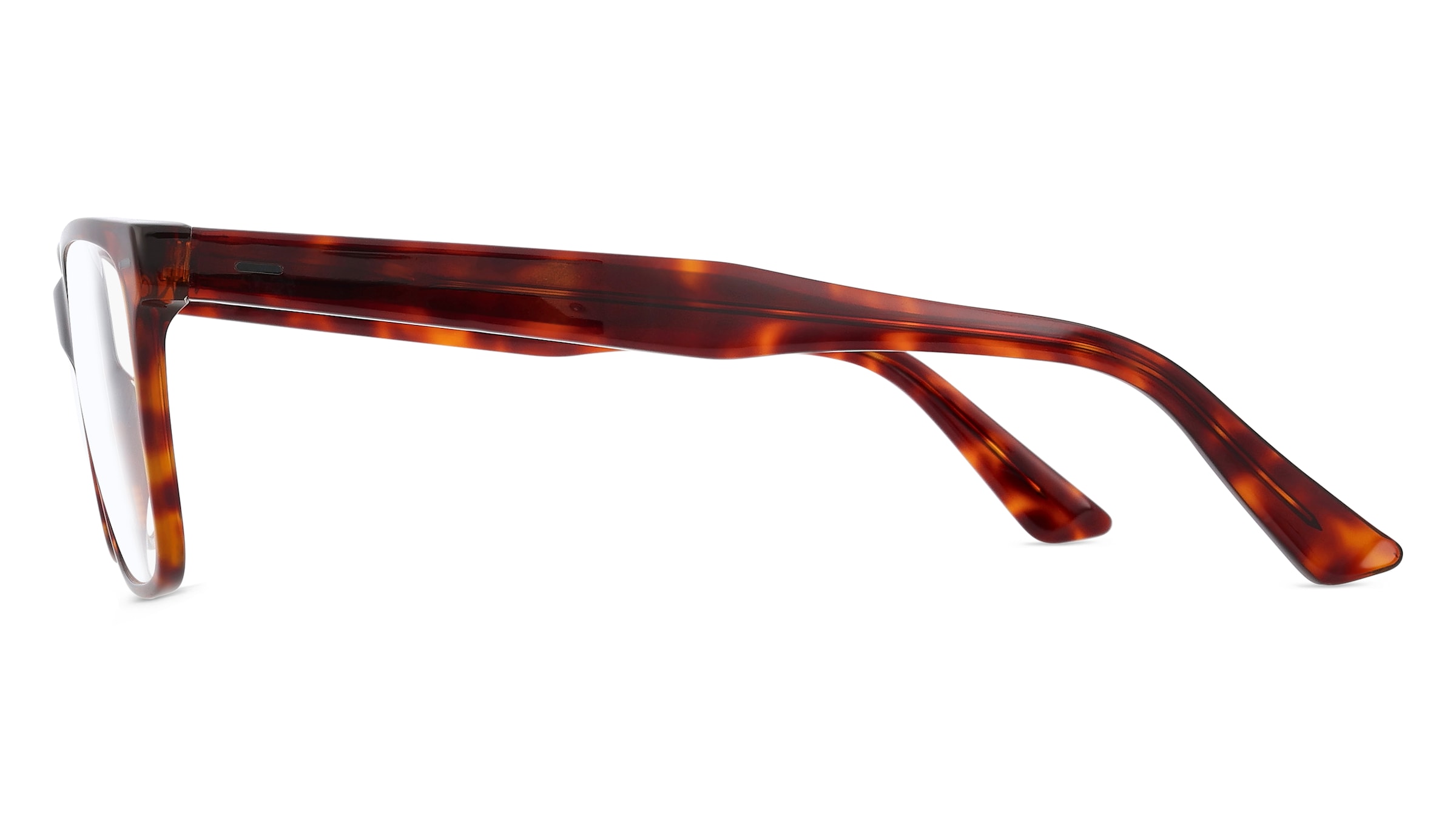 Fielmann LN 042 FLEX CL