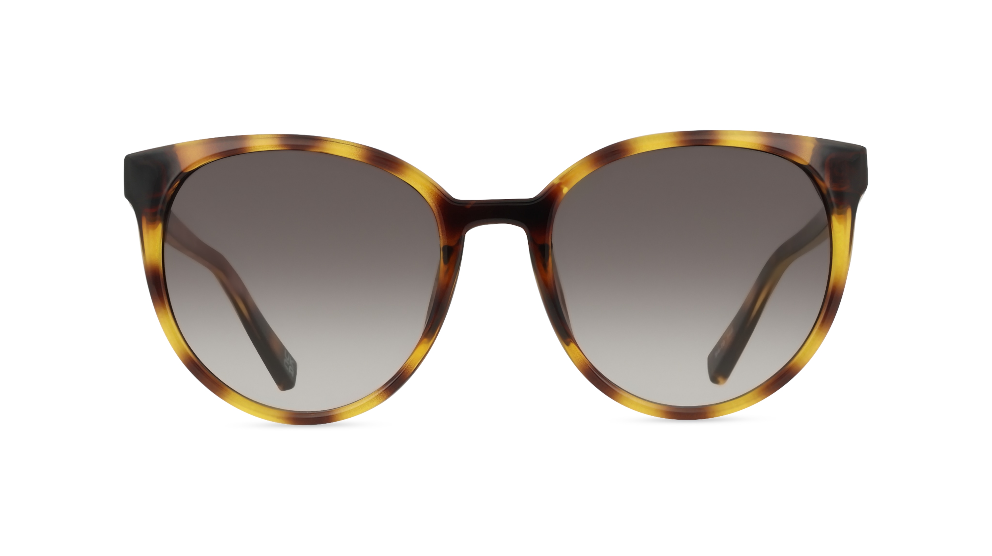 Le Specs ARMADA