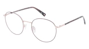 variant 27373 / BRENDEL eyewear 902441 / Grau Rosegold