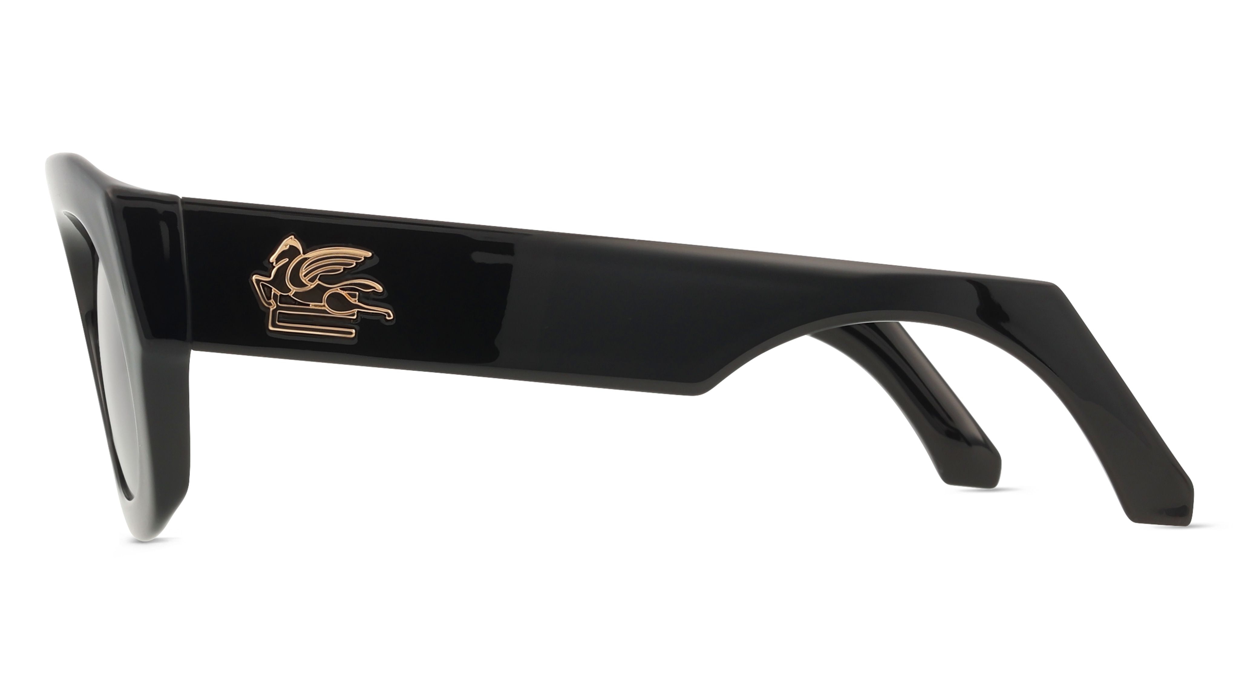 Etro 0079/S