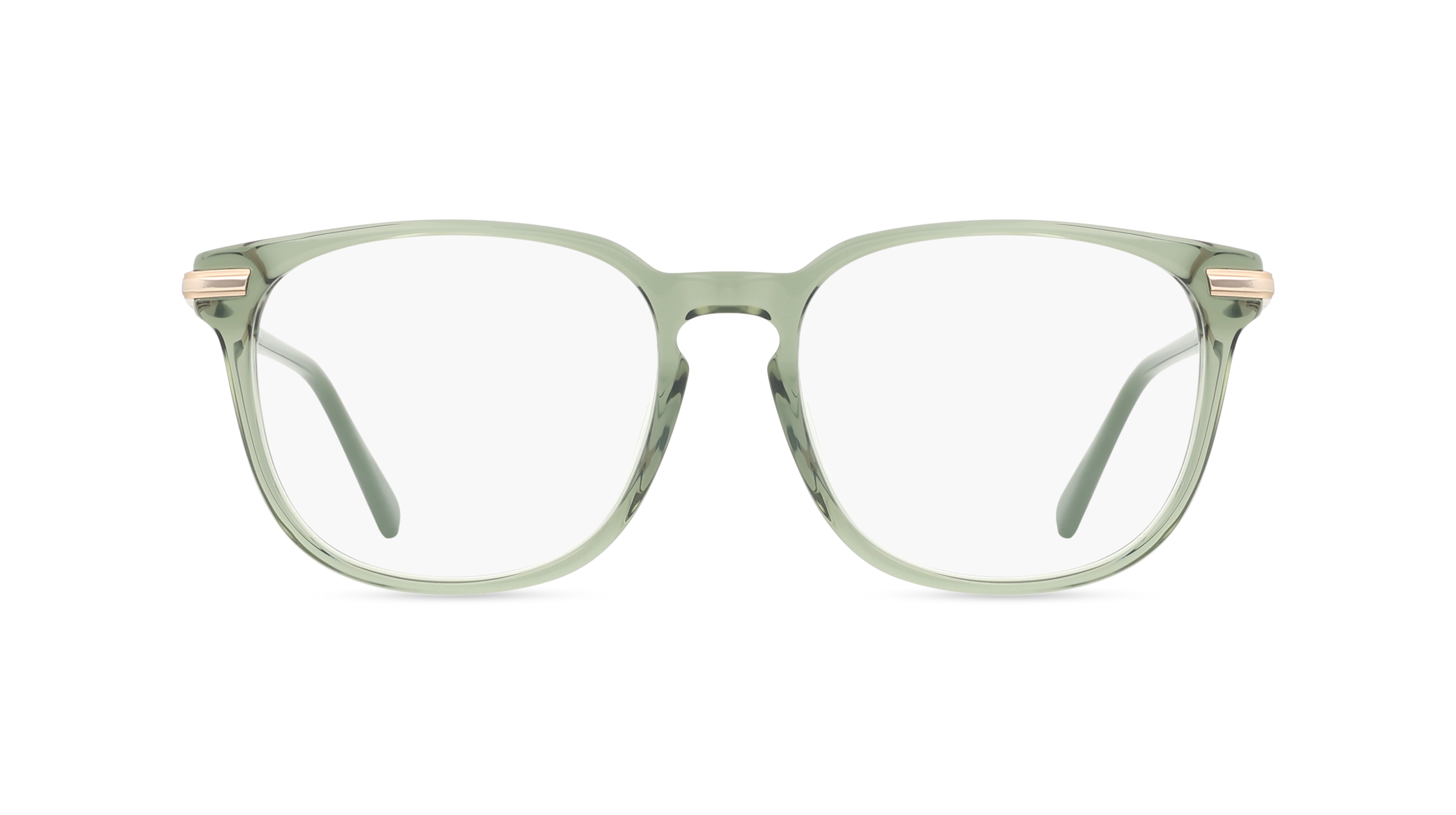 Gant GA50023