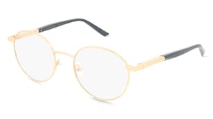 variant 30031 / Calvin Klein CK25112 / Or Or