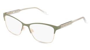 variant 20005 / DKNY DK3008 / Khaki Zlatá