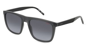 variant 19384 / HUGO HG 1304/S / Grau