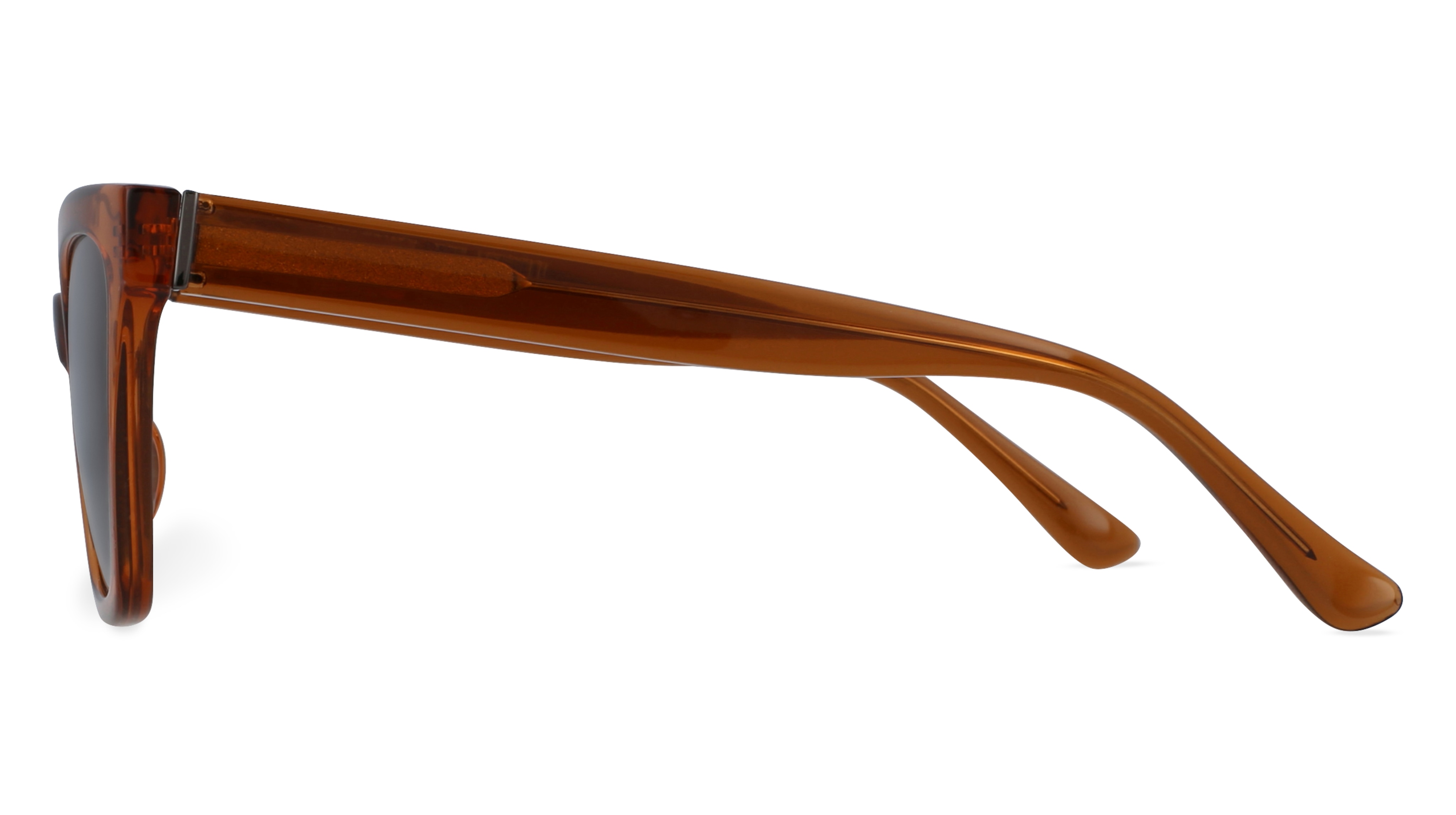 Fielmann MI 013 SUN FA/T