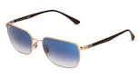 variant 6591 / Ray-Ban RB 3684 / Gold