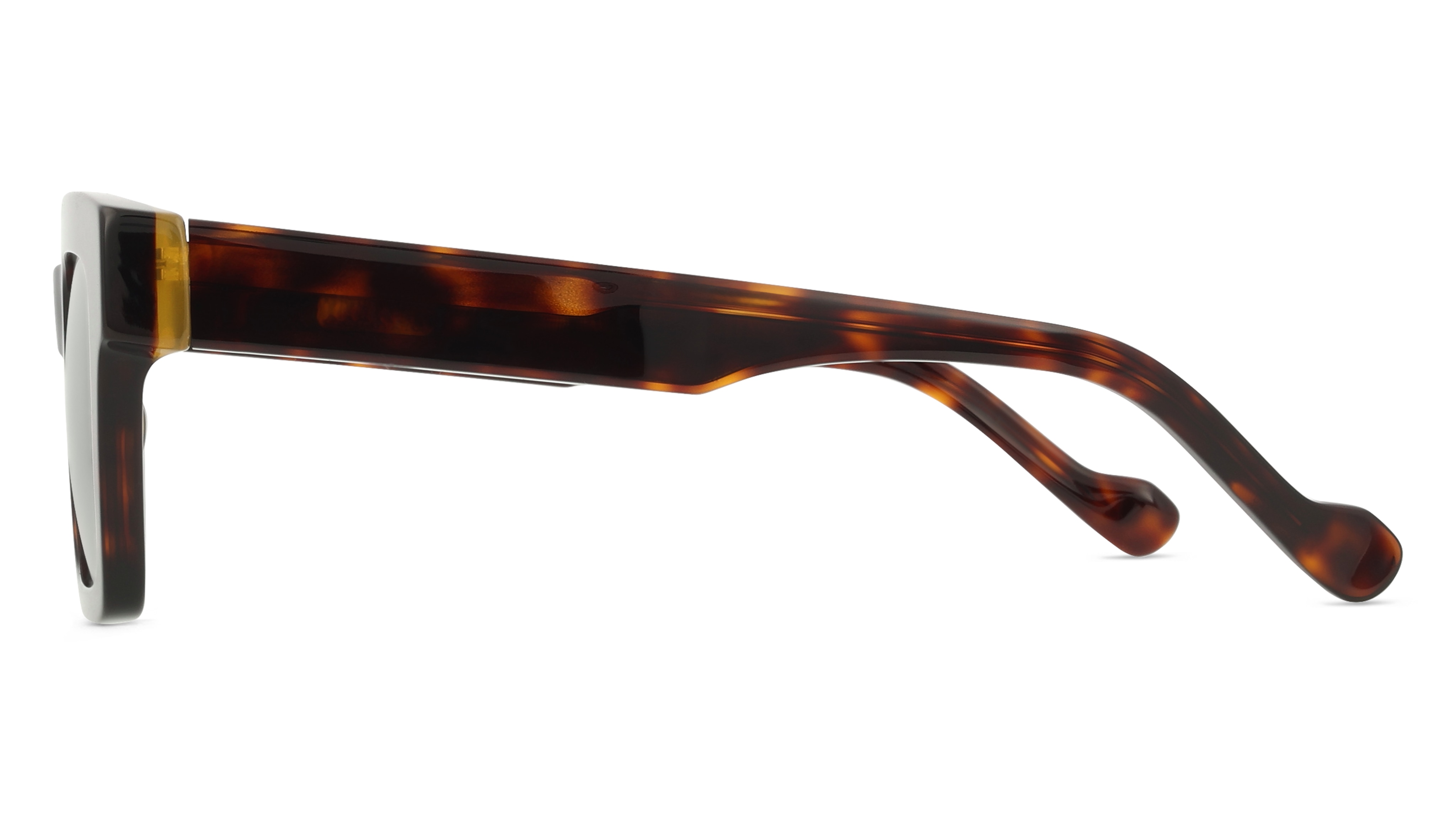 Fielmann Elementra EMT 010 SUN RN