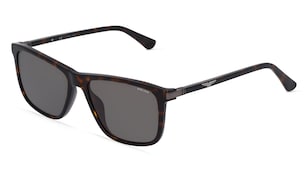 variant 9076 / Police POISPLE05 / Havanna