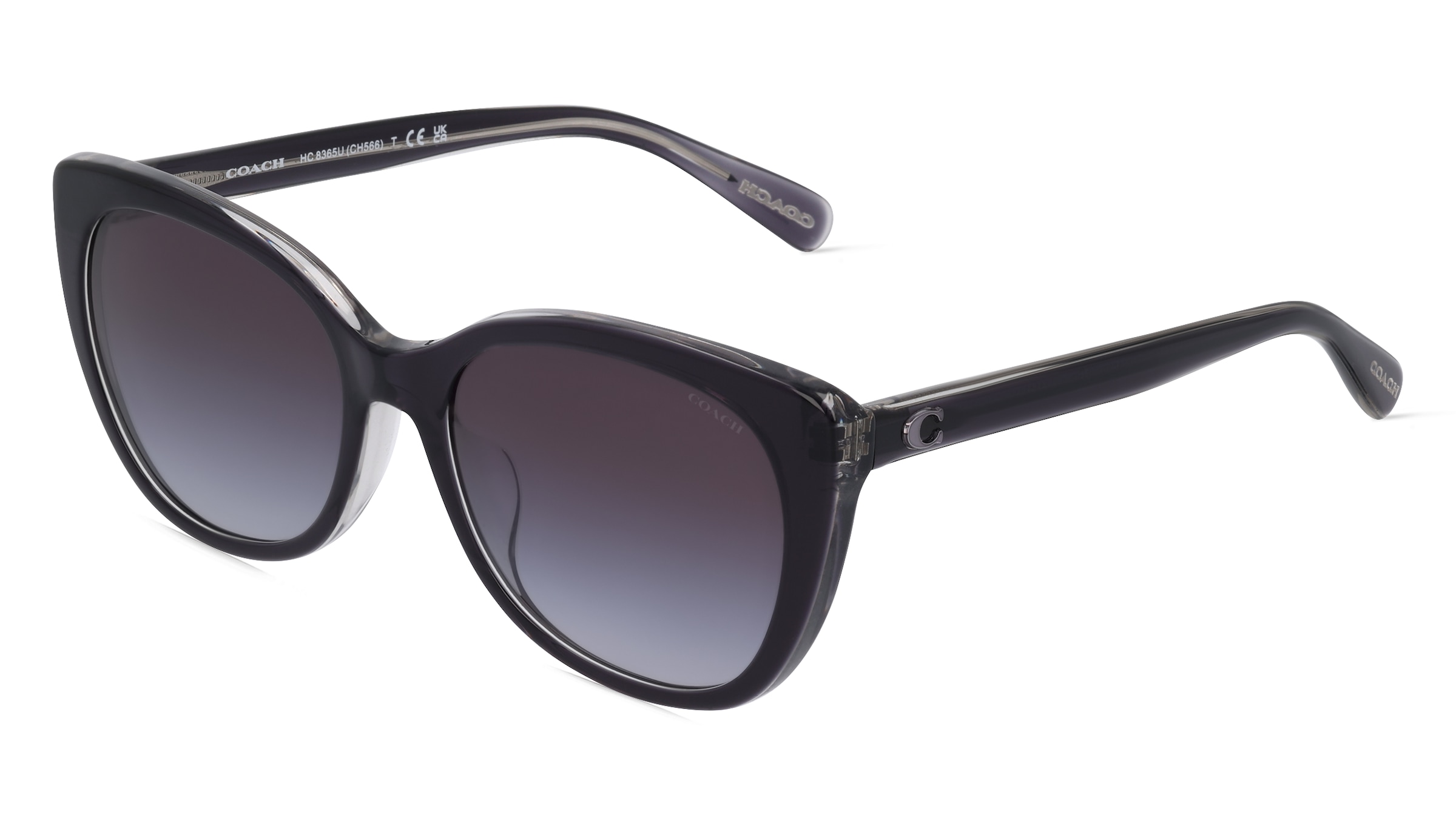 variant 11519 / Coach HC8365U / Schwarz Grau