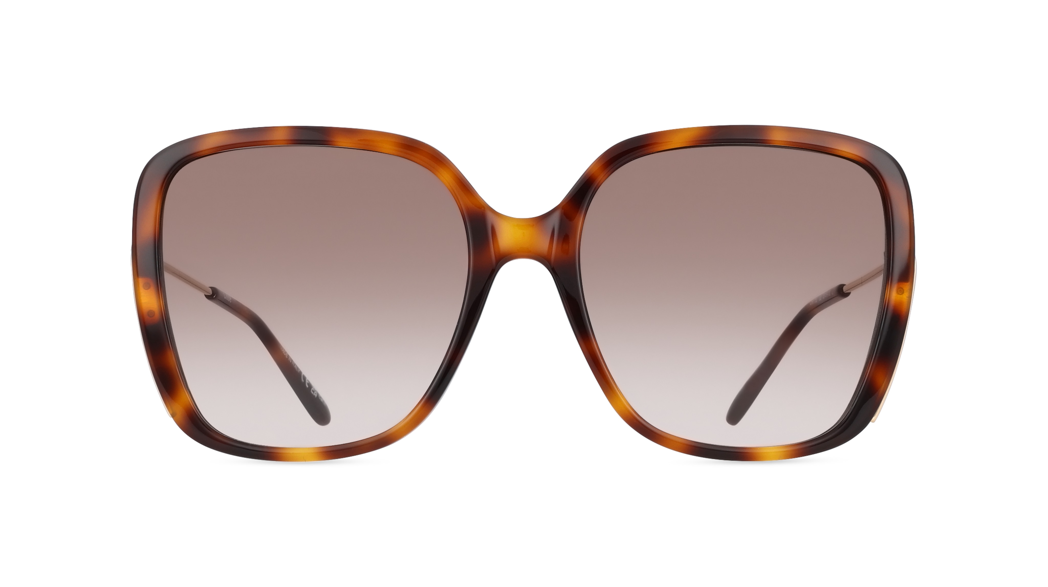 Chloé CH0173S