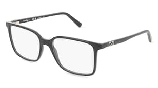 variant 27938 / Ferragamo SF2954 / Nero