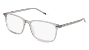 variant 21357 / Hugo HG 1172 / Grau Transparent