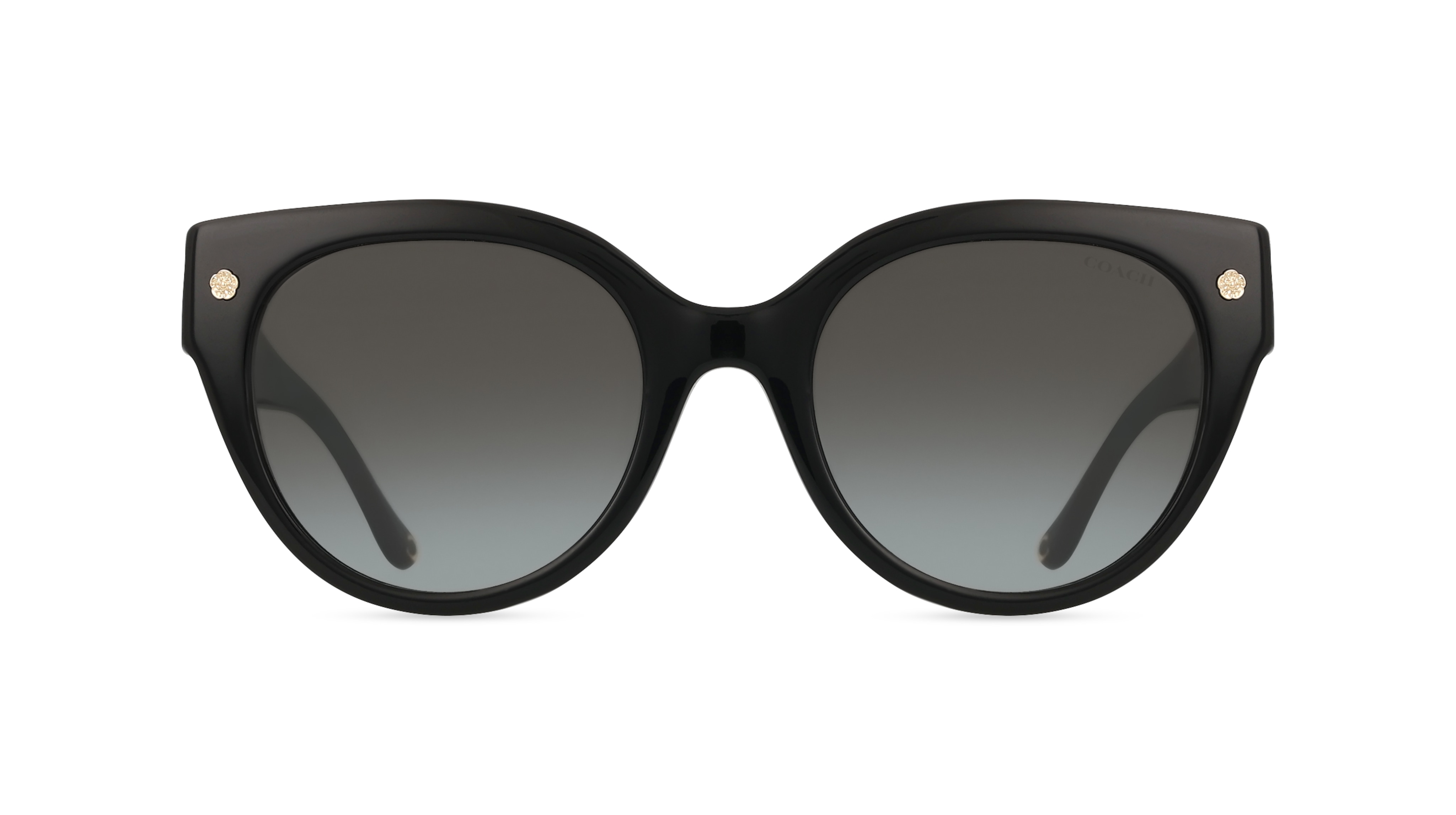 Coach 0HC8393U CR612