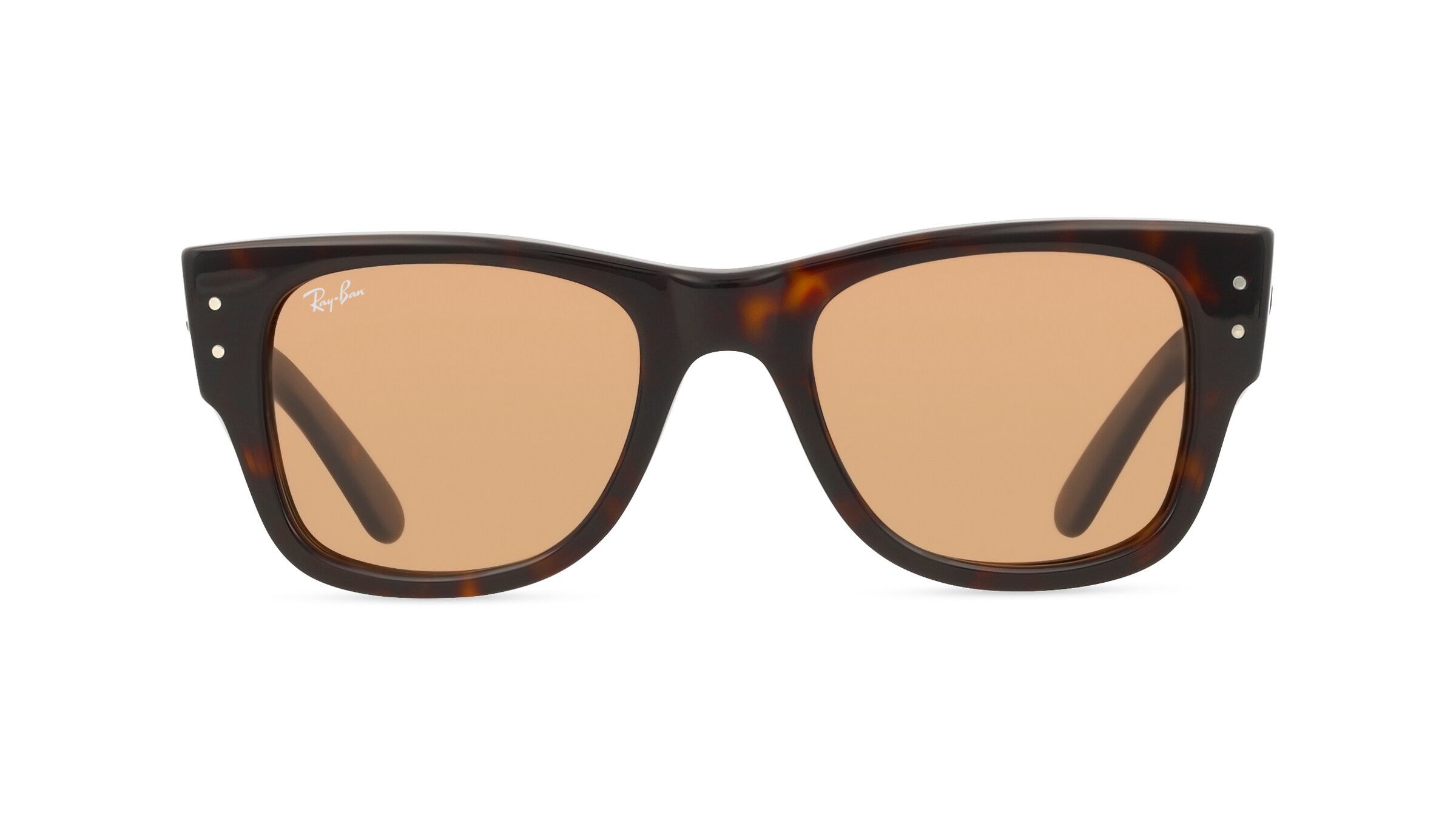Ray-Ban RB0840S