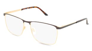 variant 26576 / Fielmann 2222 FLEX CL HARALD / Grau Gold