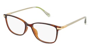 variant 23116 / Polaroid PLD D460/G / Havanna