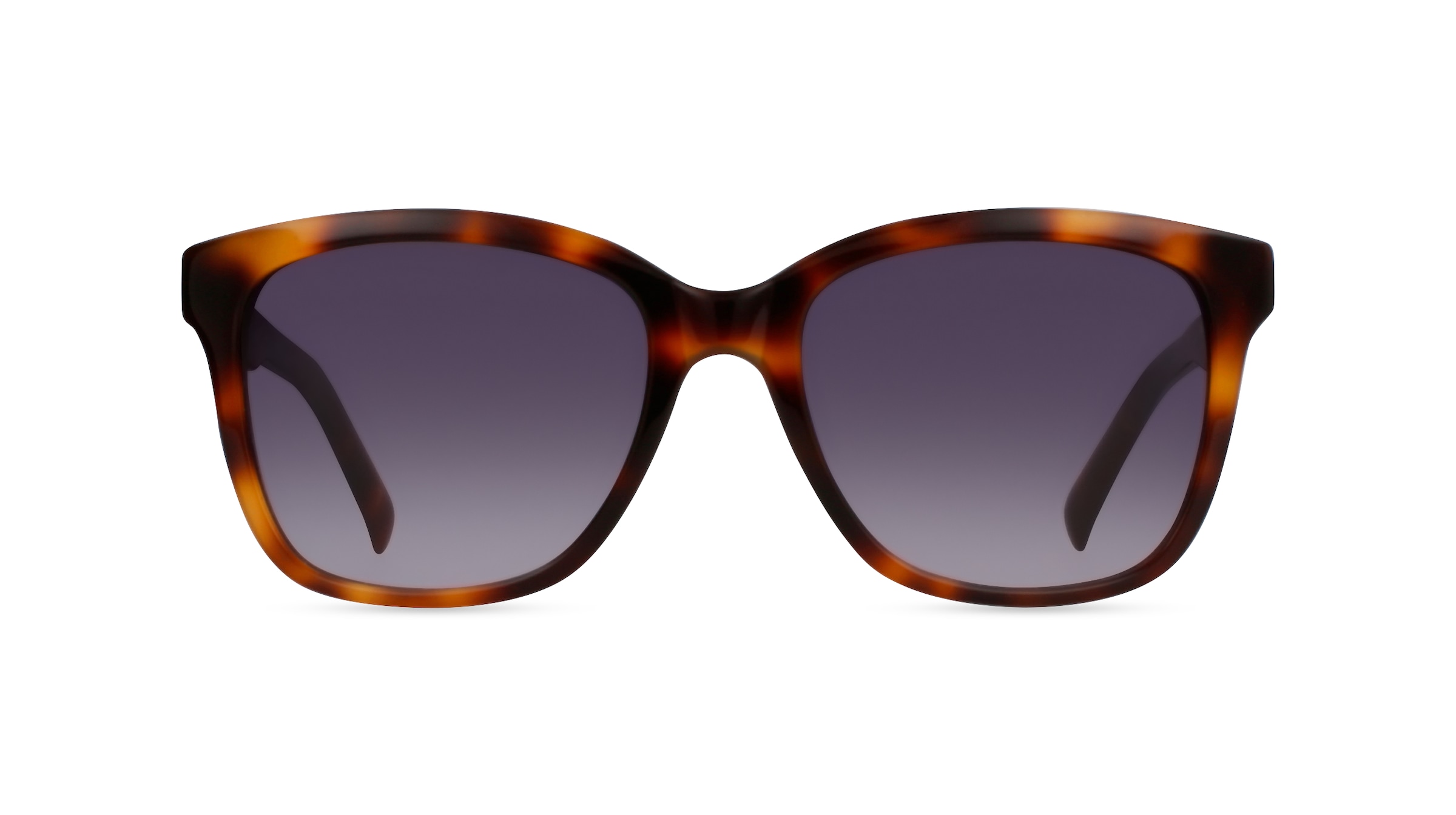 Fielmann SJ 001 SUN CL