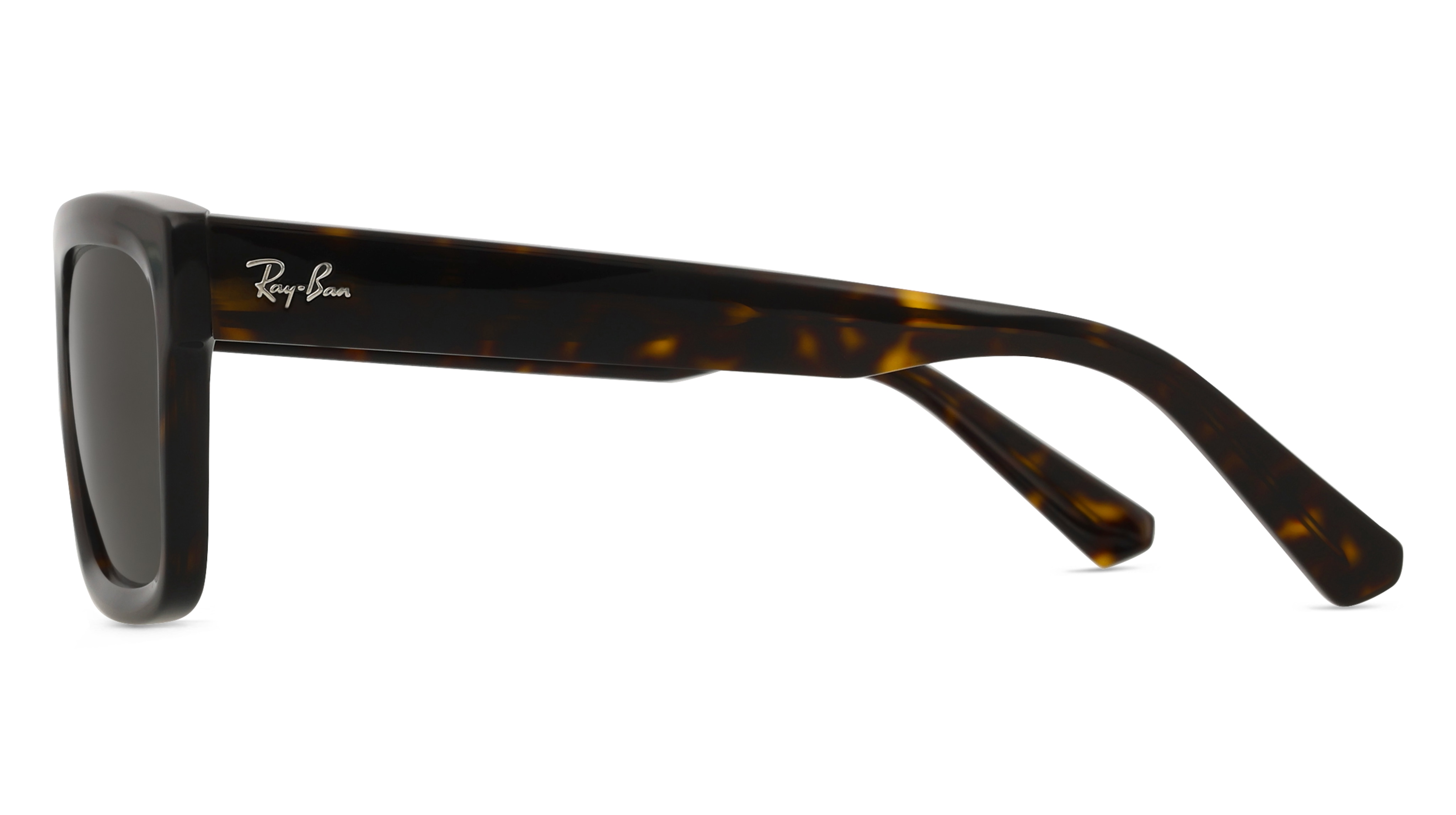 Ray-Ban 0RB4396 WARREN