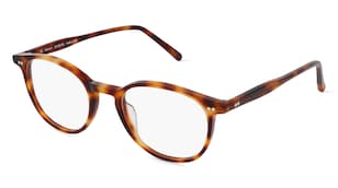 variant 15394 / Fielmann MF 055 RN / Havanna