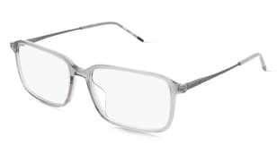 variant 27598 / Hugo HG 1321/G / Gris Ruthénium