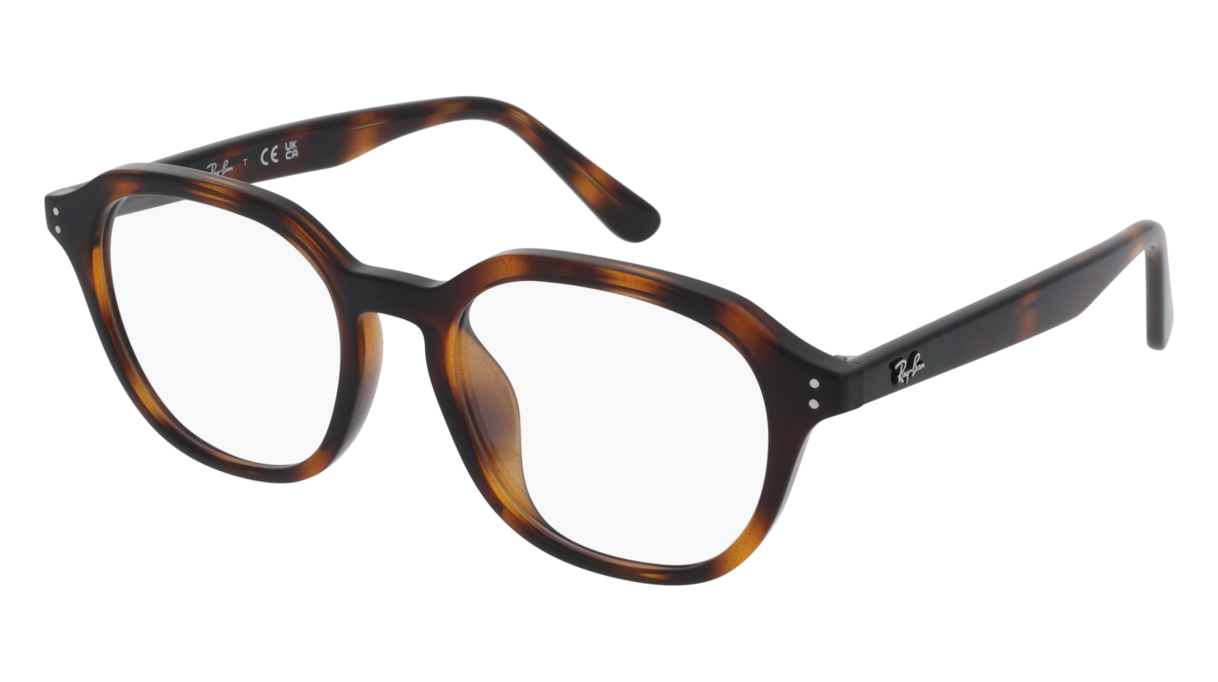 Ray-Ban RX7259D